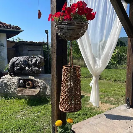 рай 10човека Boykovtsi